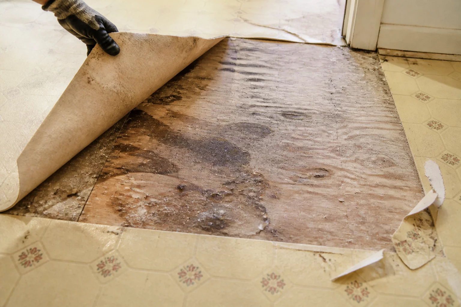 Removing surface finishes revealing substrate layer conditions